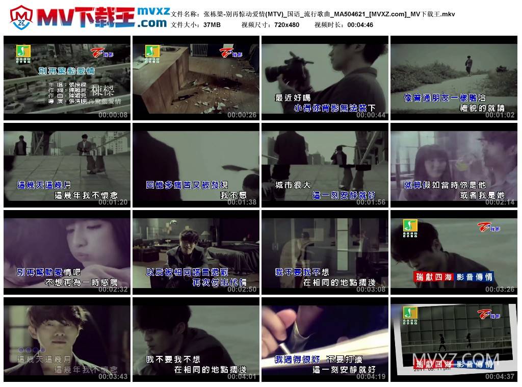 张栋梁-别再惊动爱情(MTV)_国语_流行歌曲_MA504621